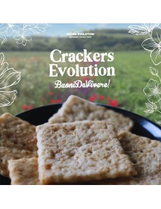 CRACKERS EVOLUTION DA 200 g 2
